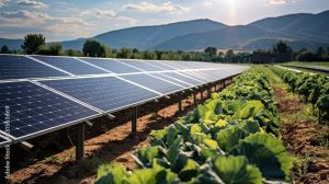 Impianti fotovoltaici per aziende Palermo 